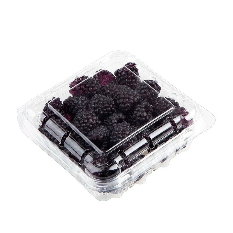 Disposable Plastic Blister Packaging Transparent for Fruit Vegetable Container with Flip Lid  11x4cm 10pcs