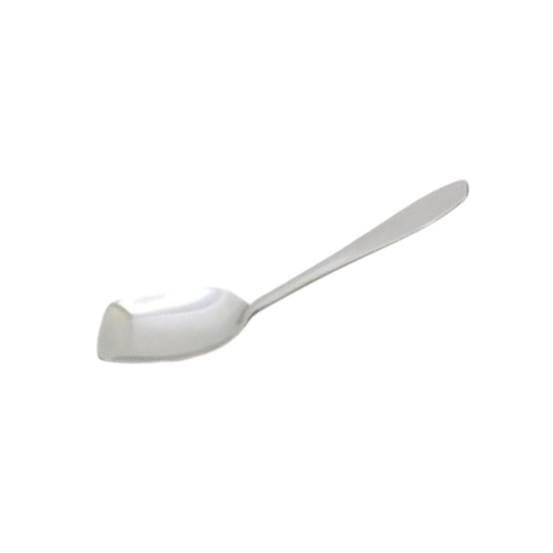 Curry Spoon Stainless Steel 27cmSLT50201
