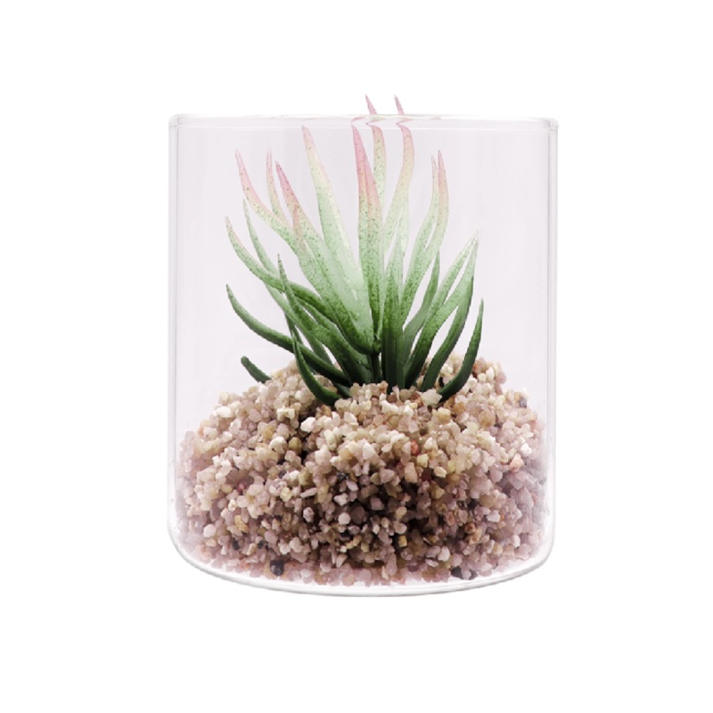 Regent Artificial Succulent In Clear Glass Small 80x80mm