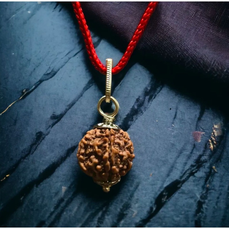 5 Mukhi Rudraksha / Five Faced Rudraksh