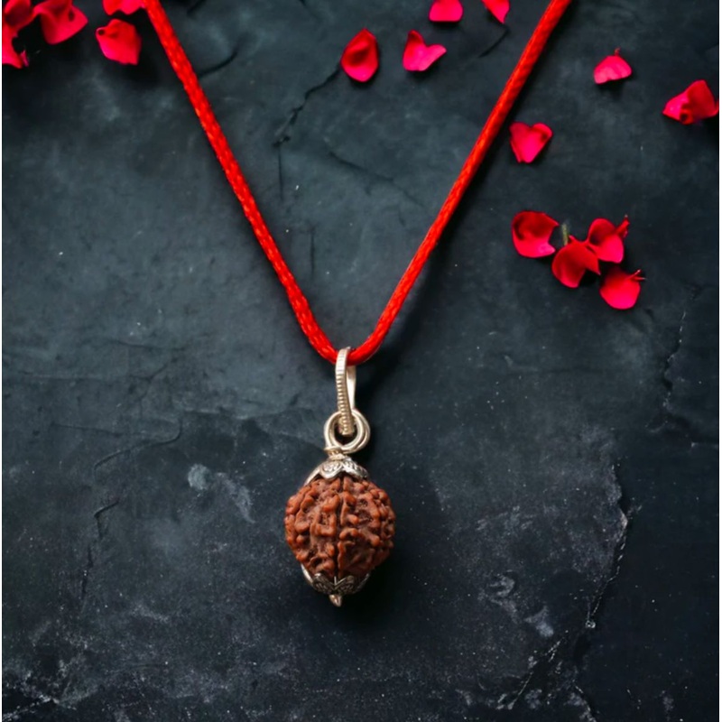 7 Mukhi Rudraksha / Seven Faced Rudraksha (Nepali)